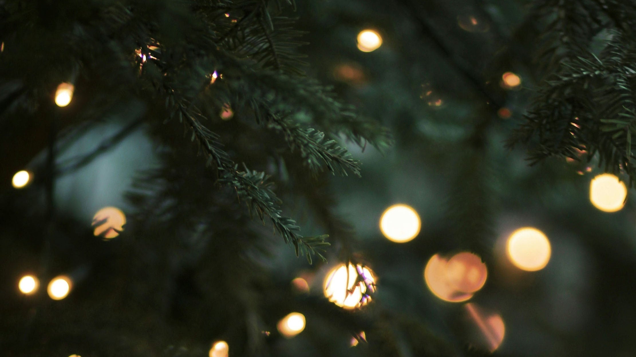 Christmas Shutdown and Delivery Dates