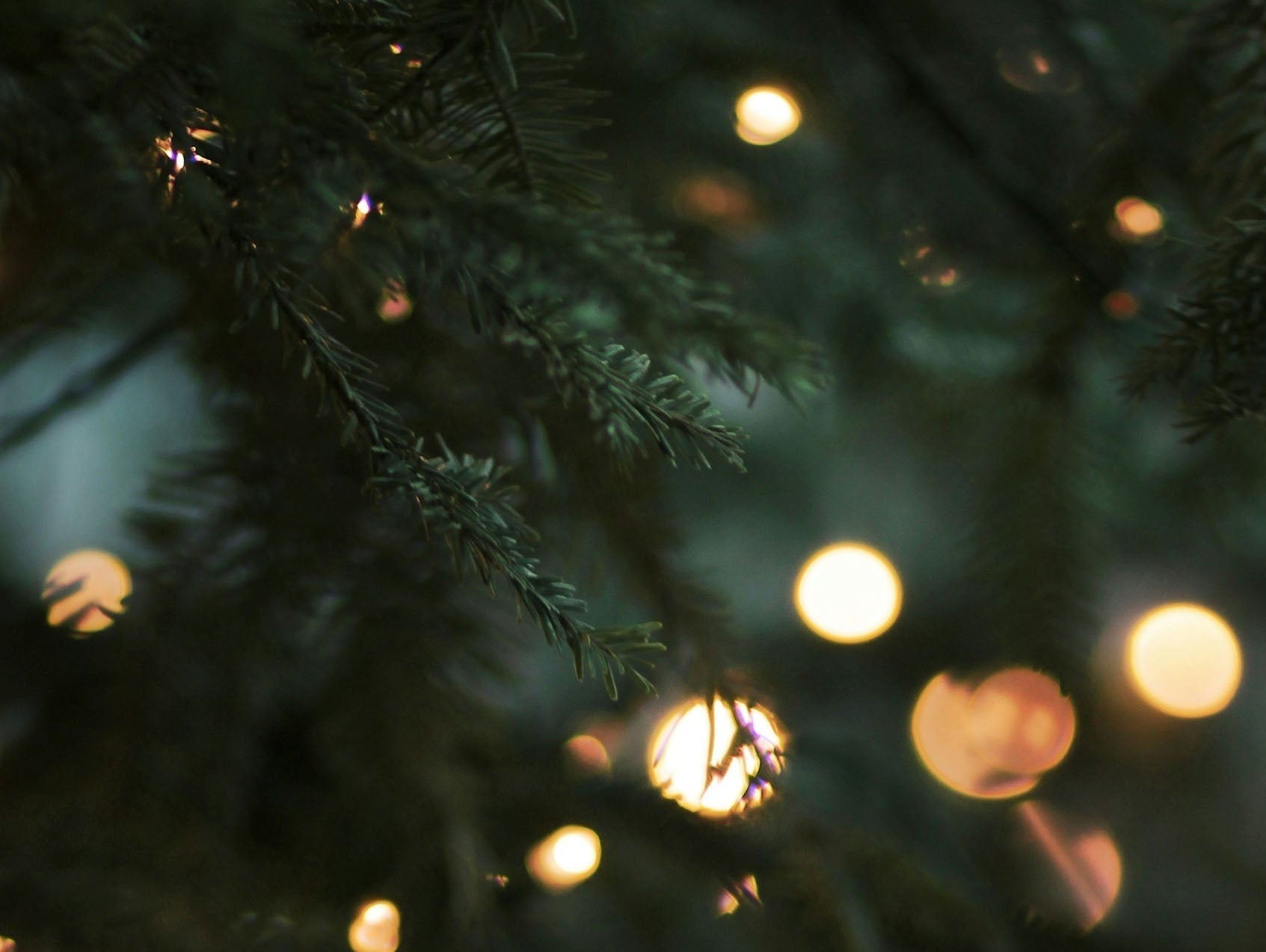 Christmas Shutdown and Delivery Dates