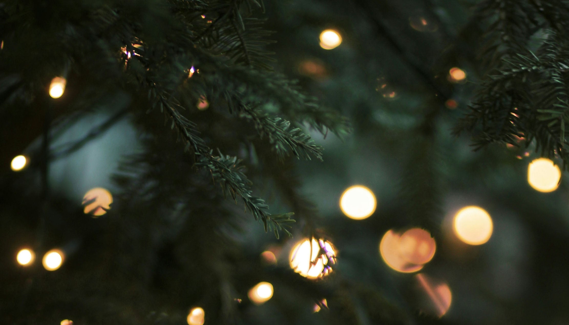 Christmas Shutdown and Delivery Dates