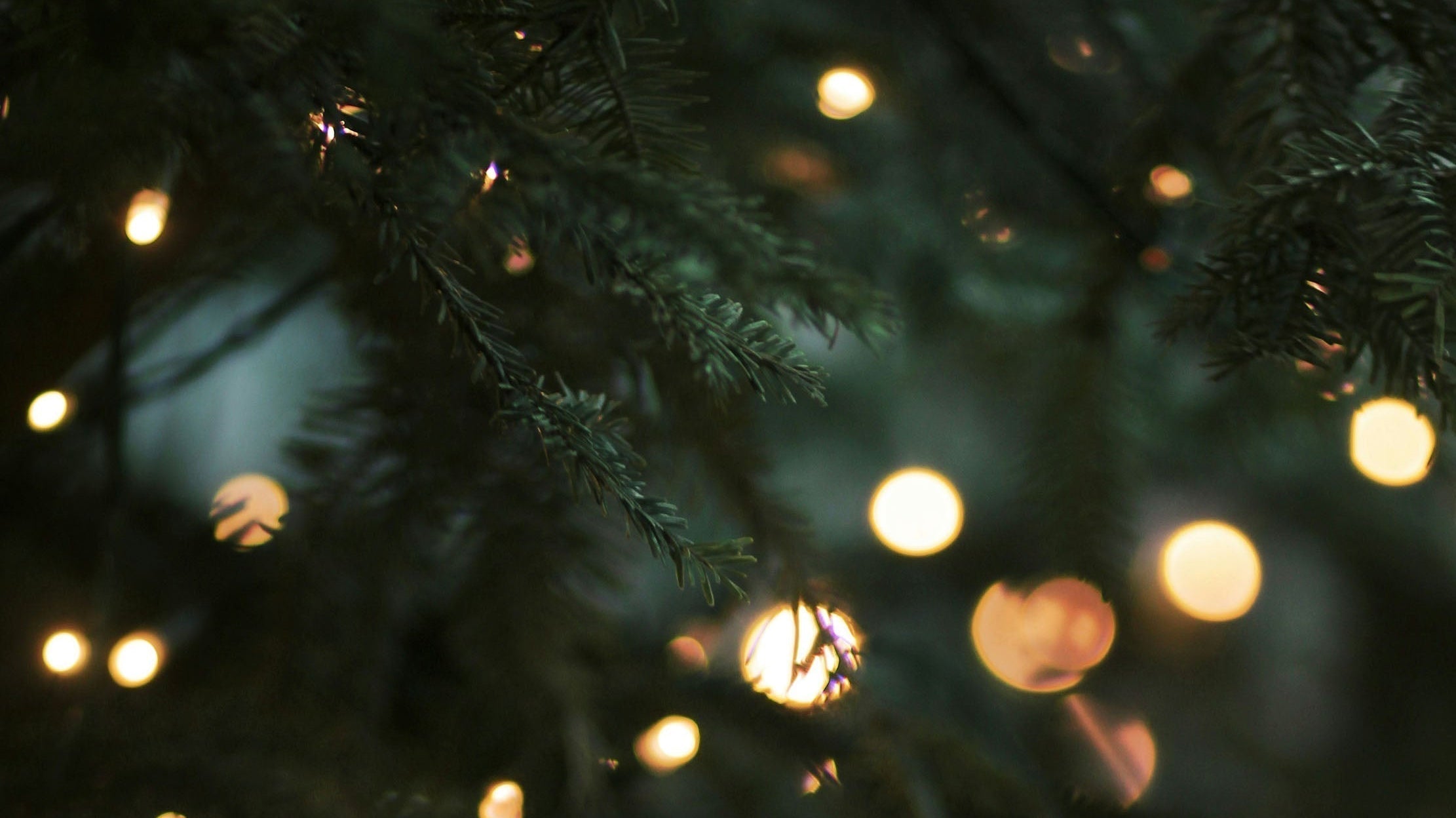 Christmas 2025 Delivery Dates and Office Holidays