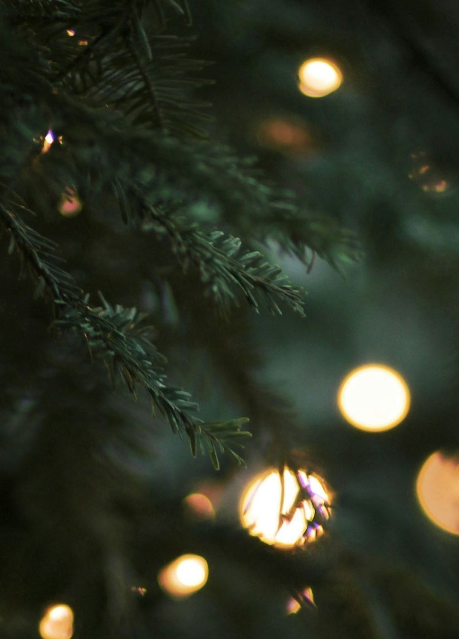 Christmas 2025 Delivery Dates and Office Holidays