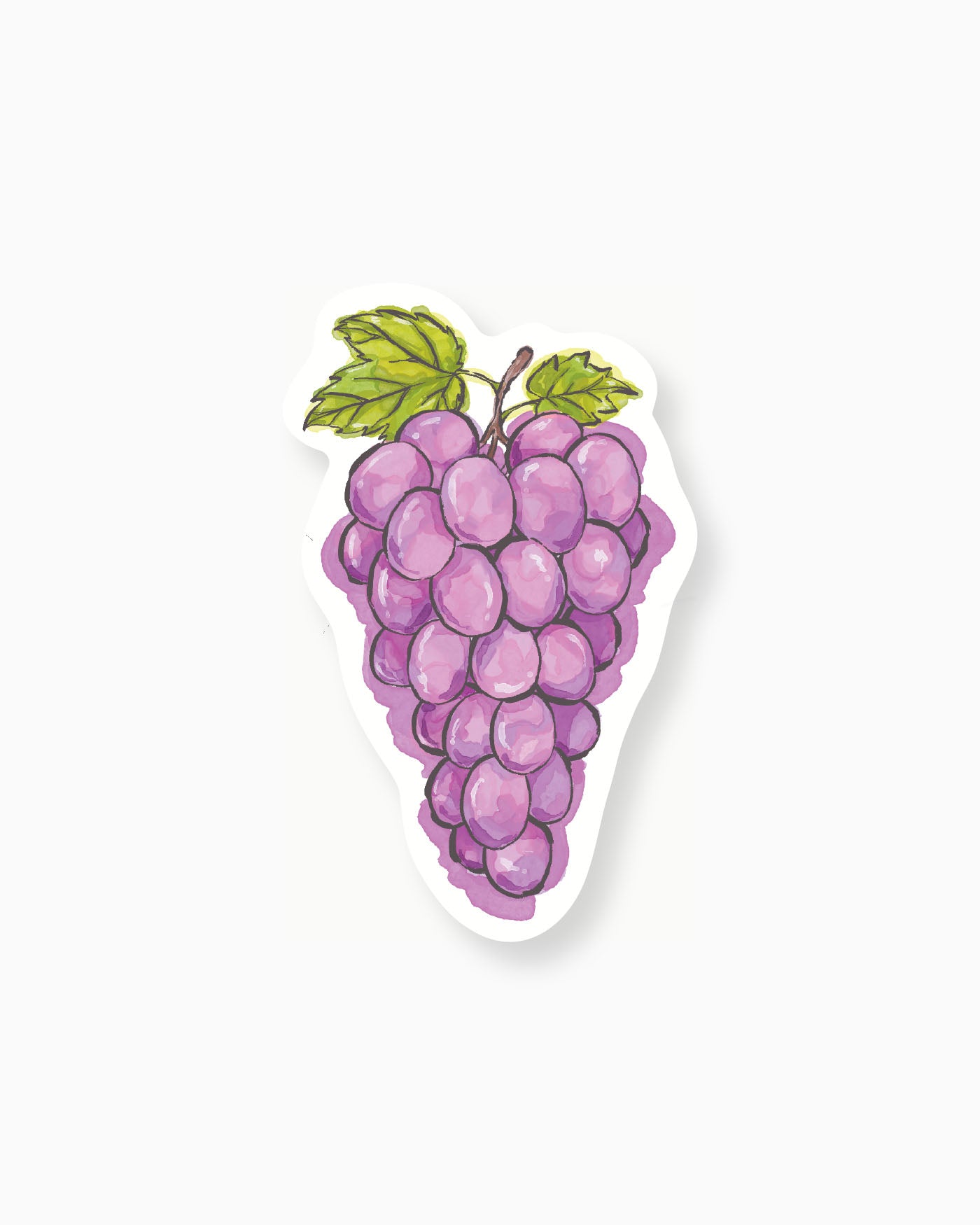 Ink Wash Grapes Insert Card mockup