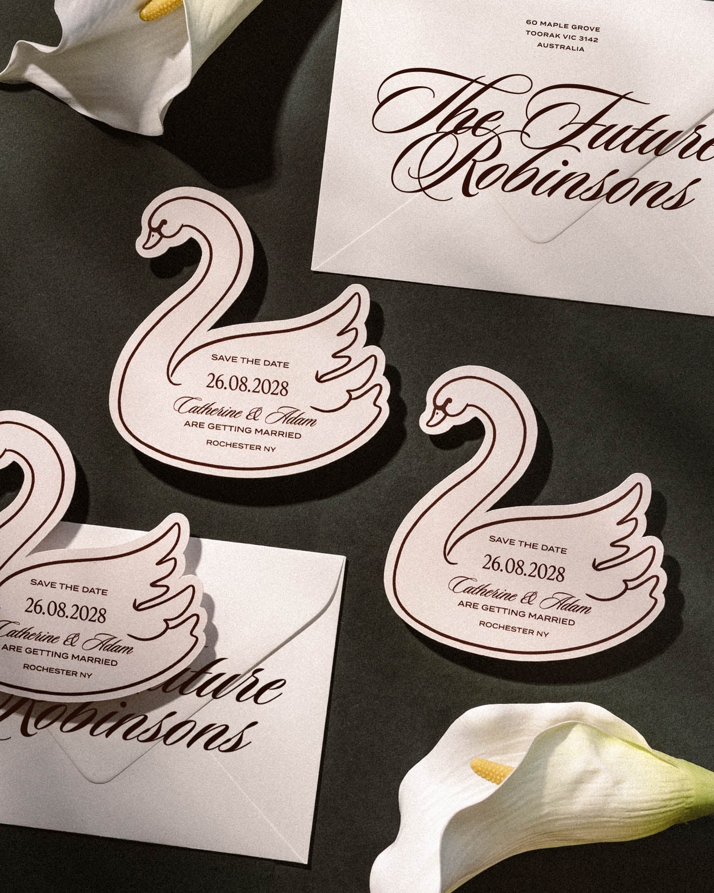 Minimal Swan Save the Date styled photograph