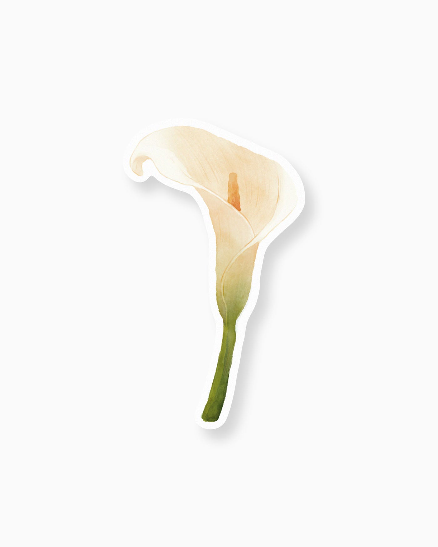 Watercolour Calla Lily Insert Card mockup