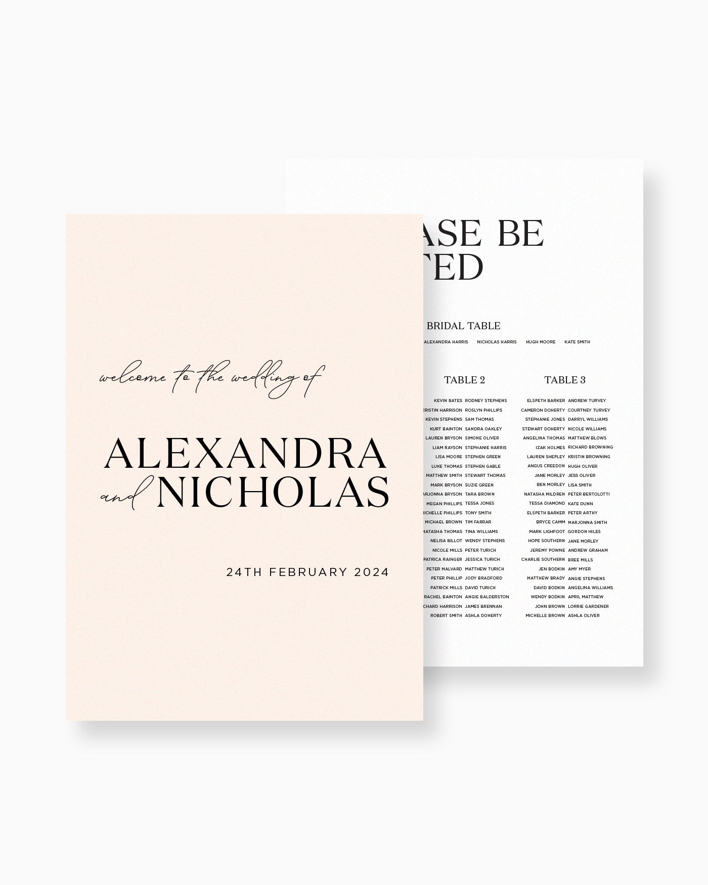 Peppermint Press On the Day Palms Large Signage Package