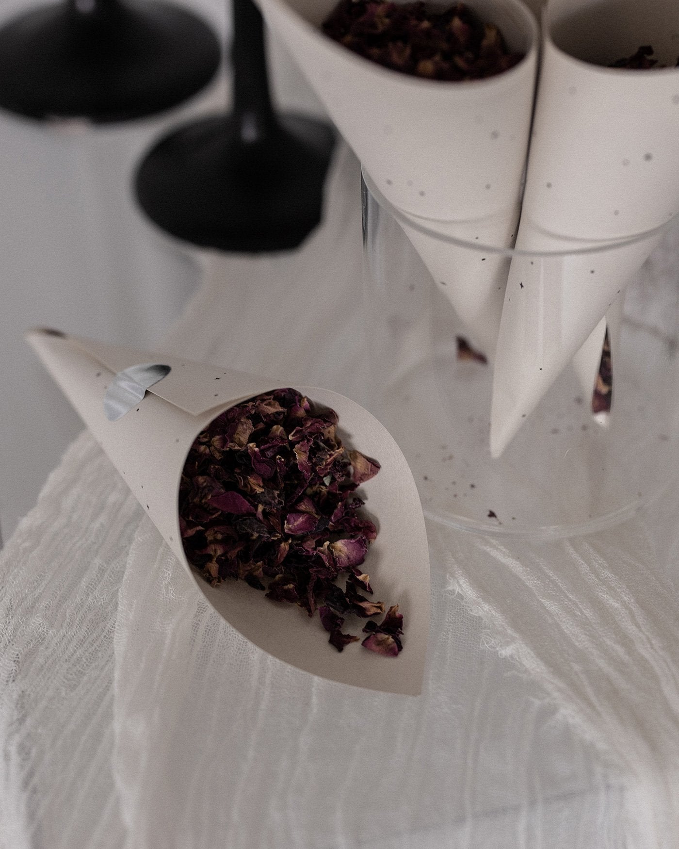 Peppermint Press On the Day Luna Petal Cones