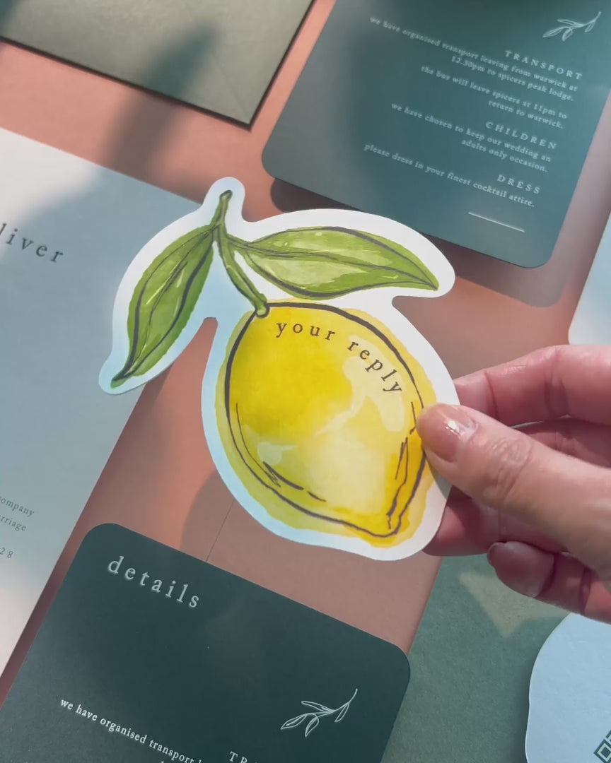 Ink Wash Lemon Insert Card video