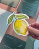 Ink Wash Lemon Insert Card video