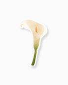 Watercolour Calla Lily Insert Card mockup