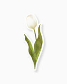 Watercolour Tulip Insert Card mockup
